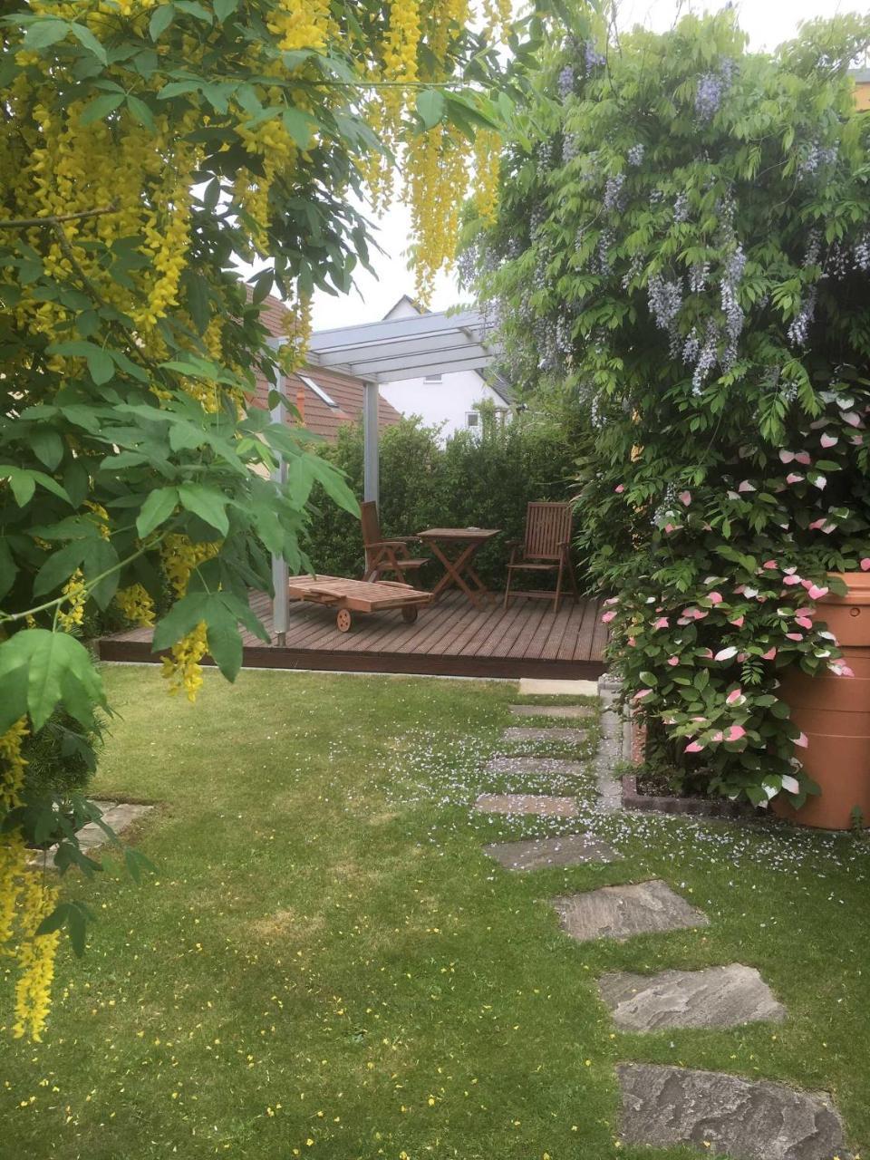 Ferienwohnung 01 Altenberg Heringsdorf Dış mekan fotoğraf