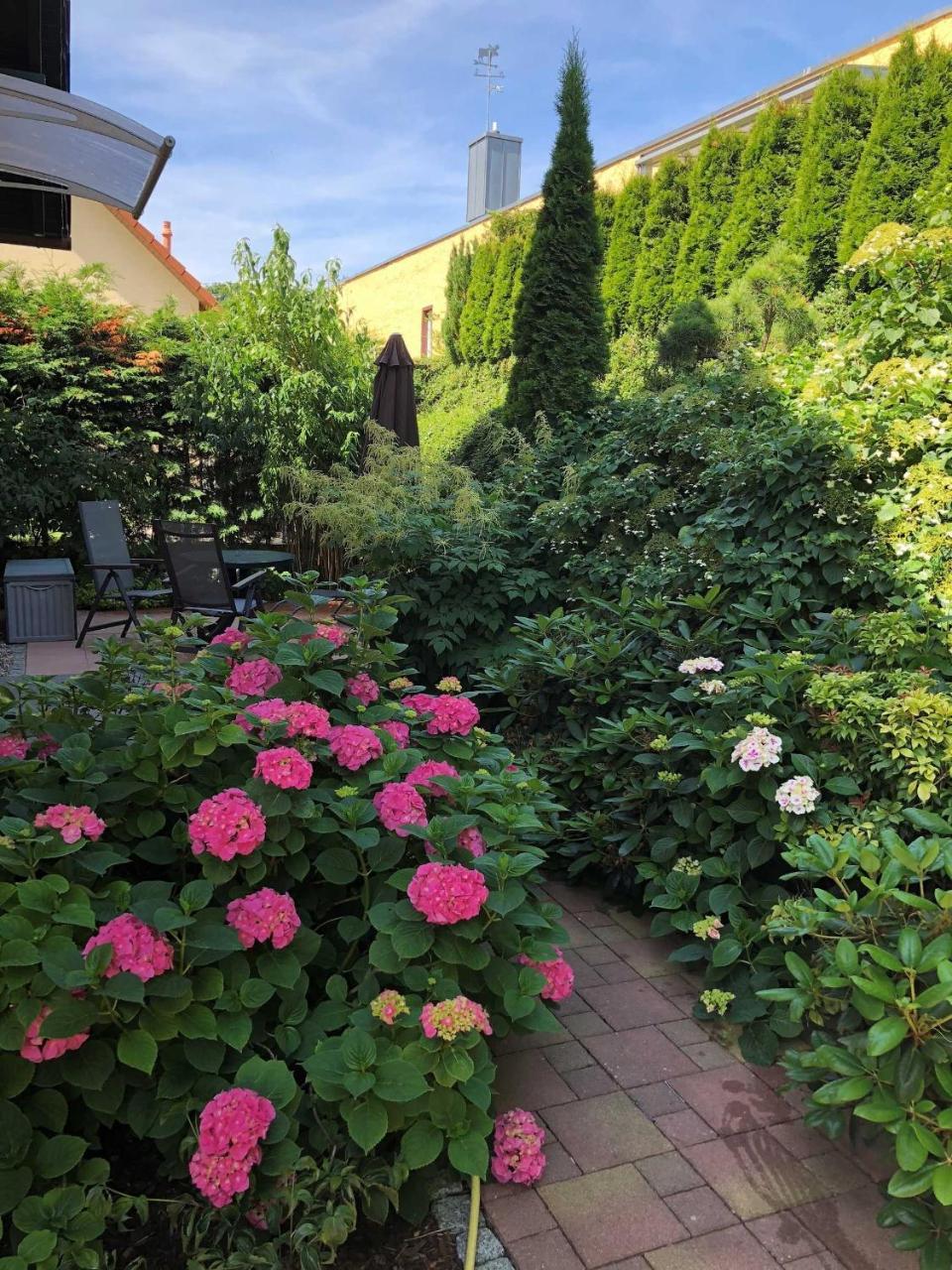 Ferienwohnung 01 Altenberg Heringsdorf Dış mekan fotoğraf