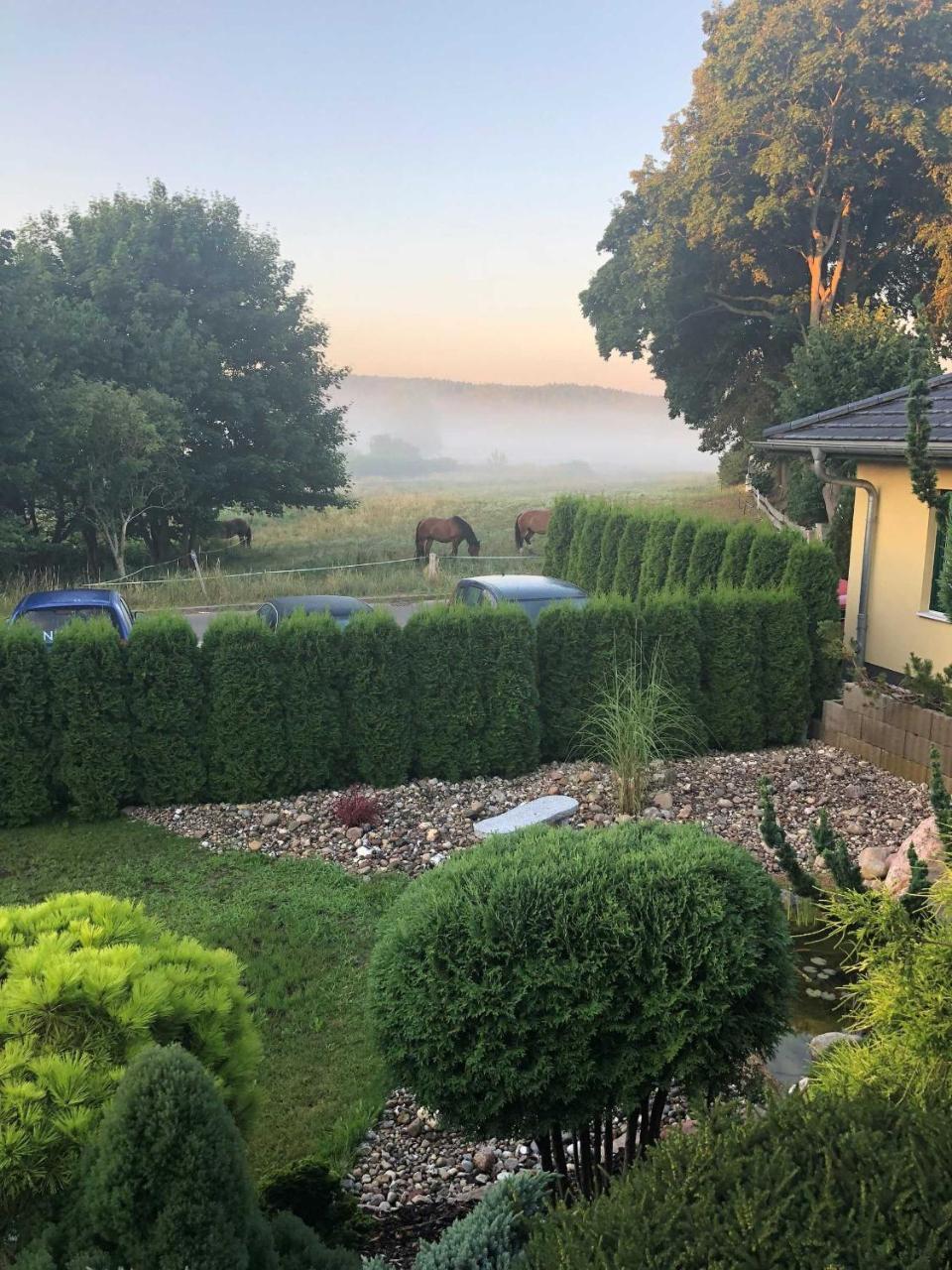 Ferienwohnung 01 Altenberg Heringsdorf Dış mekan fotoğraf